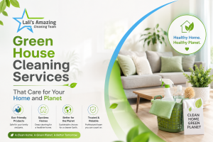 Green House Cleaning Services That Care for Your Home and Planet