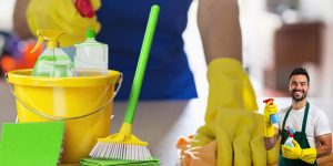 Discover the Power of Eco-Friendly House Cleaning for Richmond Homes